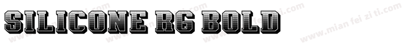Silicone Rg Bold字体转换